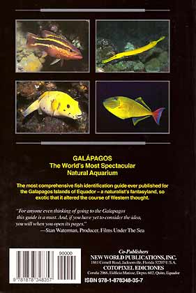 Reef Fish Identification Gal/ápagos Galapagos