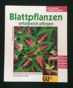 Blattpflanzen erfolgreich pflegen