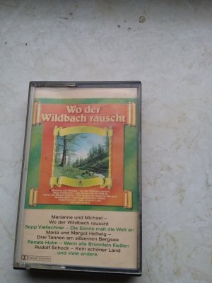 Wo der Wildbach rauscht