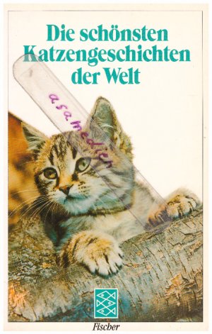 Die schönsten Katzengeschichten der Welt