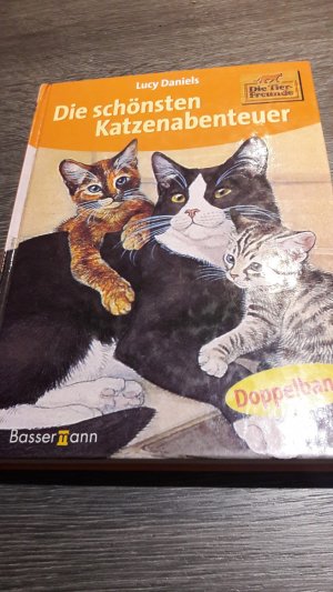 Die schönsten Katzenabenteuer