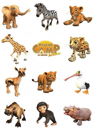 gebrauchtes Spiel – various Diverse – Wildlife Camp - Im Herzen Afrikas (Von den Machern der Wildlife Park-Reihe) PC Game