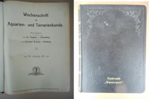 Wochenschrift für Aquarien- und Terrarienkunde. VIII. Jahrgang 1911. Hefte 1-52. - Angebunden: Lacerta. Zeitschrift für Terrarienkunde. Nrn. 1-21