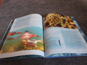 gebrauchtes Buch – Philip Wilkinson – Deep Blue . Entdecke das Geheimnis der Ozeane - mit vielen farbigen Fotos