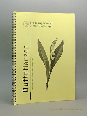 gebrauchtes Buch – Staudengärtnerei Dieter Gaissmayer  – Duftpflanzen, Stauden und ihre Düfte - von lieblich-süß bis harzig und schwer