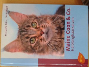 gebrauchtes Buch – Götz, Eva-Maria; Wolf, Gesine – Maine Coon & Co. - Halblanghaarkatzen