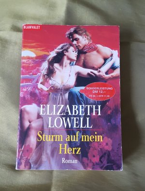 gebrauchtes Buch – Elizabeth Lowell – Sturm auf mein Herz