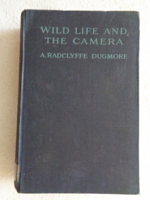 gebrauchtes Buch – Dugmore Radclyffe A – Wild life and the Camera