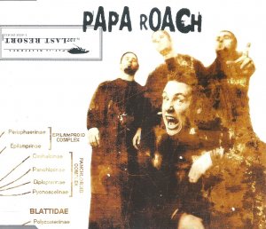 gebrauchter Tonträger – Papa Roach – Last Resort