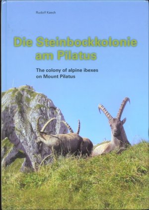 gebrauchtes Buch – Ruedi Käch – Die Steinbockkolonie am Pilatus /The colony of alpine ibexes on Mount Pilatus