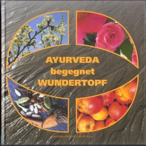 gebrauchtes Buch – Brigitta Ritter; Diandra Sellegat – Ayurveda begegnet Wundertopf