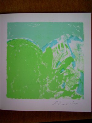 gebrauchtes Buch – Günther Wirth, Gerhard Frey, Walter Zimmerli und Rosel Schaefer – Shmuel Shapiro - Edition Schlosshofgalerie Kisslegg im Allgäu" (handsigniert !)