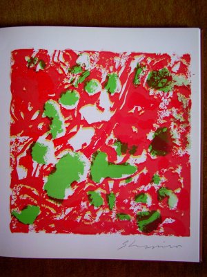 gebrauchtes Buch – Günther Wirth, Gerhard Frey, Walter Zimmerli und Rosel Schaefer – Shmuel Shapiro - Edition Schlosshofgalerie Kisslegg im Allgäu" (handsigniert !)