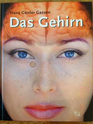 Das Gehirn