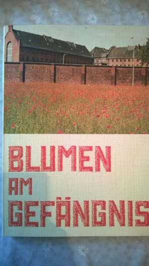 gebrauchtes Buch – Busch, P. Gabriel – Blumen am Gefängnis. Discretio und Maßlosigkeit