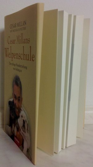 gebrauchtes Buch – Millan, Cesar; Peltier – Cesar Millans Welpenschule - Die richtige Hundeerziehung von Anfang an - Gebunden mit Schutzumschlag