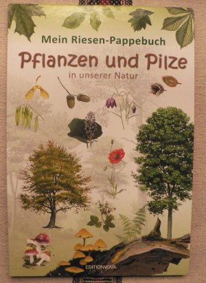 Mein Riesen-Pappebuch: Pflanzen und Pilze in unserer Natur