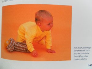 gebrauchtes Buch – Gabriele Grünebaum – Das neue grosse Babybuch - Alles, was Eltern wissen müssen