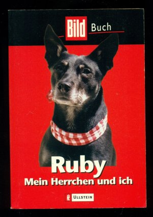 gebrauchtes Buch – Herrchen --Norbert Körzdörfer – Ruby / Mein Herrchen und ich