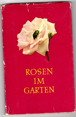 Rosen Im Garten Fritz Haenchen Buch Antiquarisch Kaufen