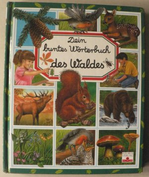 Dein buntes Wörterbuch des Waldes