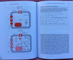 gebrauchtes Buch – Thomas Herdegen, Thomas R – Klinische Neurobiologie • Molekulare Pathogenese und Therapie bei neurobiologischen Erkrankungen