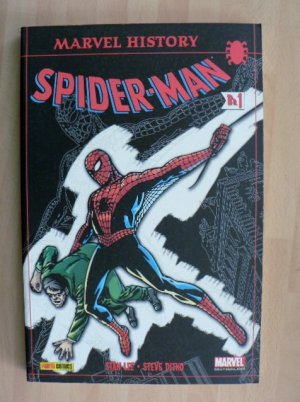 Marvel History - Spider-Man 1