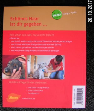 gebrauchtes Buch – Anna Laukner – Hunde pflegen - Einfach - richtig - schön