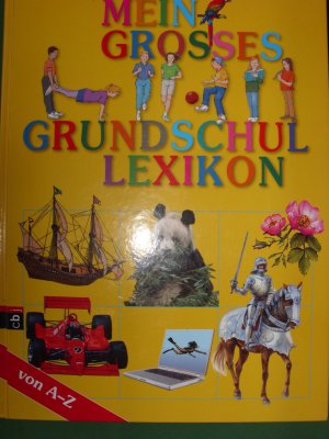 gebrauchtes Buch – Mein großes Grundschullexikon