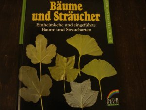 Bäume und Sträucher