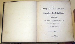 Das Prinzip der Entwickelung als Grundprinzip einer Weltanschauung. Abhandlung behufs Erlangung der Venia docendi.