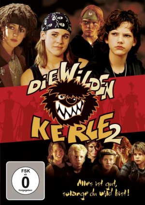 gebrauchter Film – Joachim Masannek – Die Wilden Kerle 2