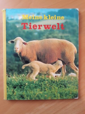 gebrauchtes Buch – Meine kleine Tierwelt gebrauchtes Buch – Meine kleine Tierwelt