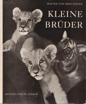 antiquarisches Buch – Tierkindern - Firner, Walter und Irma – Kleine Brüder. Ein Buch von Tierkindern.