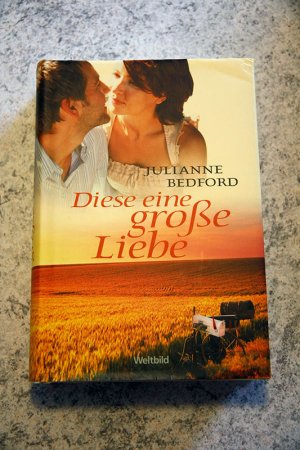 gebrauchtes Buch – Julianne Bedford – Diese eine große Liebe