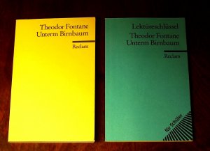 gebrauchtes Buch – Theodor Fontane und Bohrmann – Unterm Birnbaum und Lektüreschlüssel zu Theodor Fontane von Bohrmann, Michael