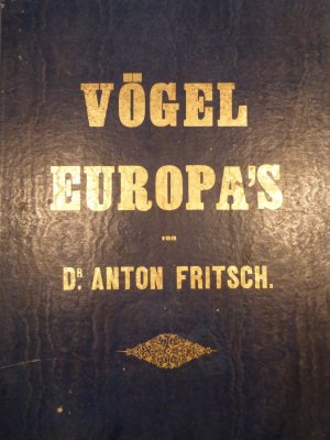 Vögel Europa