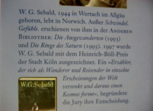 gebrauchtes Buch – Sebald, Winfried G – Schwindel. Gefühle