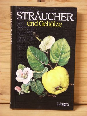 gebrauchte Buecher