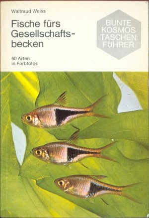 Fische fürs Gesellschaftsbecken