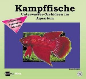 gebrauchtes Buch – Frank Schäfer – Kampffische