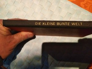 Die kleine bunte Welt (Der Kindergarten) - Ein Zweijahreskursus