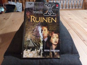 gebrauchtes Buch – Anderson, Kevin J – Ruinen