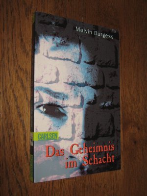 gebrauchtes Buch – Burgess, Melvin – Das Geheimnis im Schacht