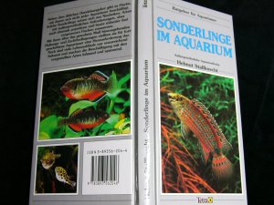 gebrauchtes Buch – Stallknecht Helmut – Sonderlinge im Aquarium