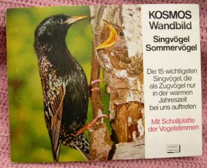 gebrauchtes Buch – Werner Grüninger – Kosmos Wandbild • Singvögel Sommervögel • mit Schallplatte