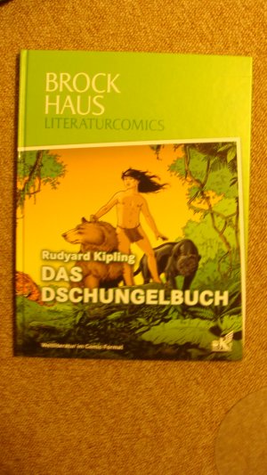 Das Dschungelbuch (= Brockhaus Literaturcomics - Weltliteratur im Comic-Format)