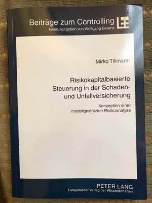 Risikokapitalbasierte Steuerung in der Schaden- und Unfallversicherung - Konzeption einer modellgestützten Risikoanalyse