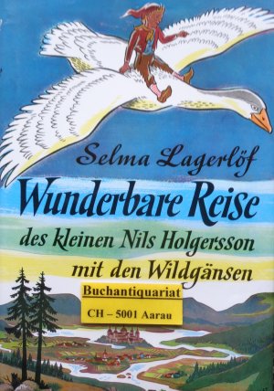 Wunderbare Reise des kleinen Nils Holgersson mit den Wildgänsen