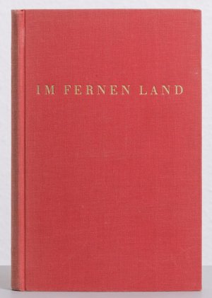 Im fernen Land: Roman